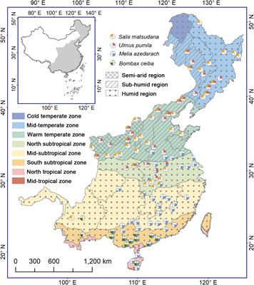Daylength predominates the bud growth initiation of winter deciduous forest trees in the monsoon region of China